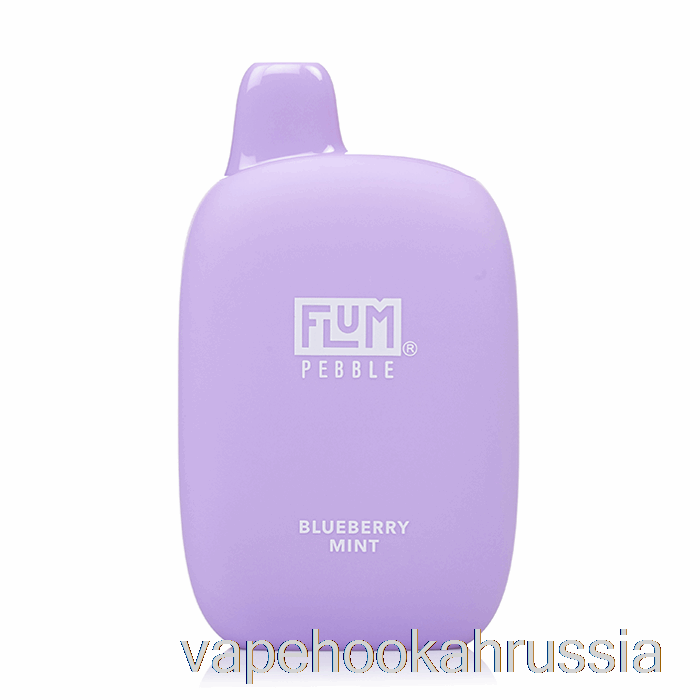 Vape Russia Flum Pebble 6000 одноразовый с черникой и мятой